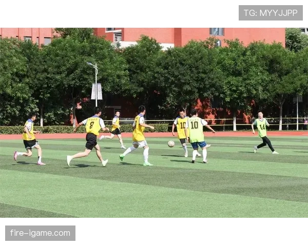 足球盛宴：巨星闪耀，经典进球瞬间点燃绿茵激情