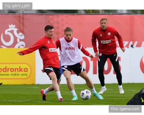 波兰队小组赛表现稳健，晋级前景乐观