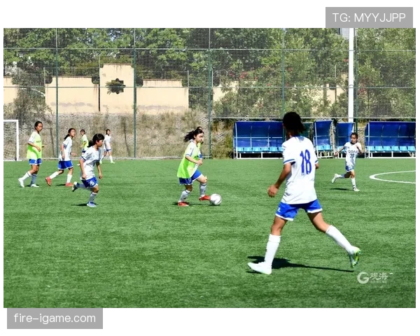 芬兰足球改革持续推进，青训体系与联赛结构优化成效初显